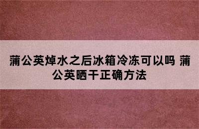 蒲公英焯水之后冰箱冷冻可以吗 蒲公英晒干正确方法